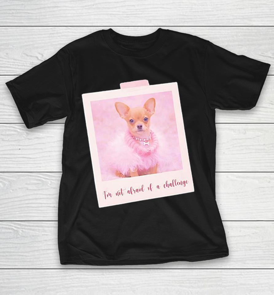 Chihuahua I Am Not Afraid Of A Challenge Pink Polaroid Aesthetic Cute Dog Shirts 1 Chihuahua I Am Not Afraid Of A Challenge Pink Polaroid Aesthetic Cute Dog Shirts