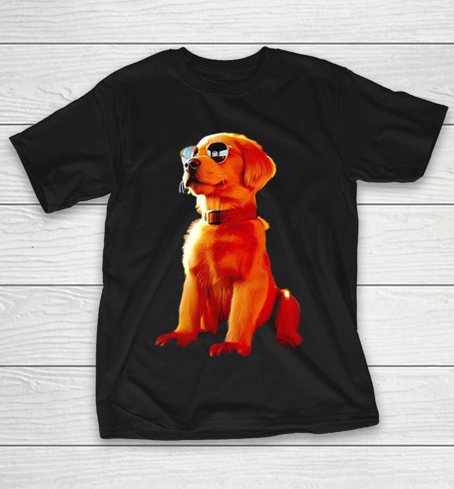 Cool Golden Retriever Puppy Wearing Sunglasses And Leather Collar Dog Lover Shirts 1 Cool Golden Retriever Puppy Wearing Sunglasses And Leather Collar Dog Lover Shirts
