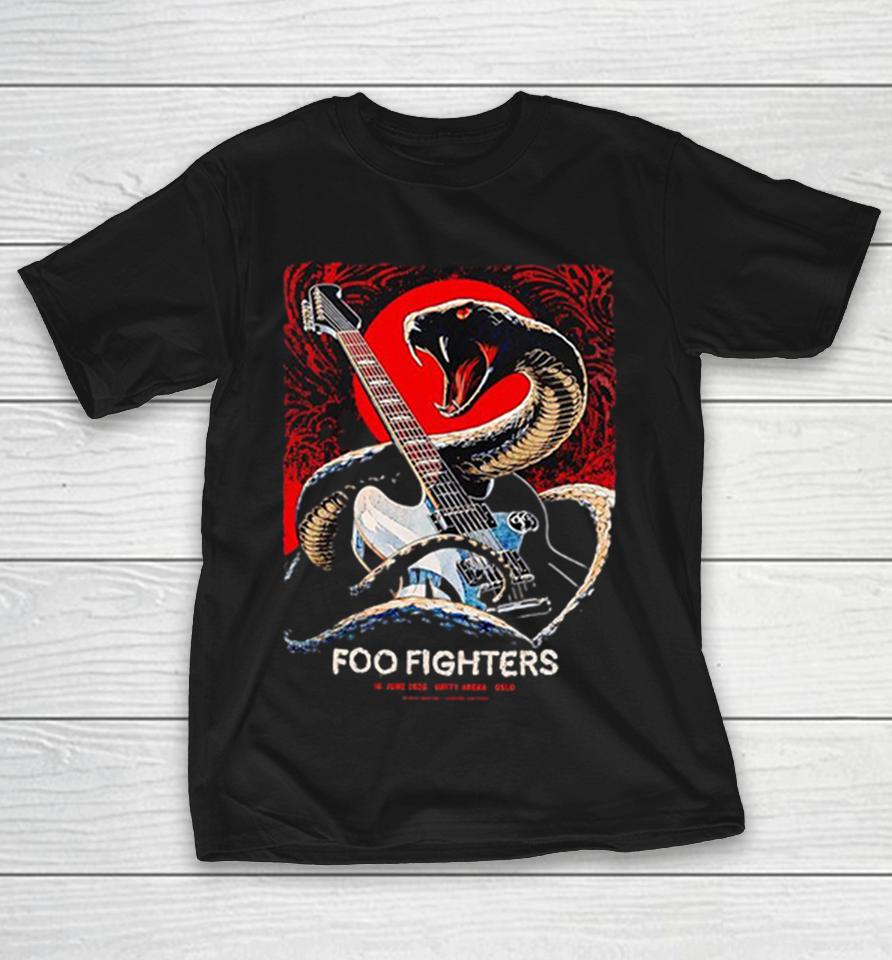 Foo Fighters Snake Guitar Dark Concert Poster Graphic Shirts 1 Foo Fighters Snake Guitar Dark Concert Poster Graphic Shirts
