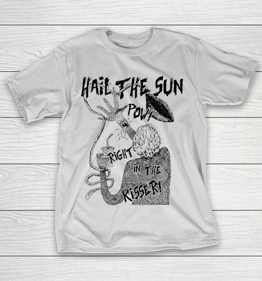 Hail The Sun Pow Right In The Kisser Arm Is Thirsty Shirts 1 Hail The Sun Pow Right In The Kisser Arm Is Thirsty Shirts