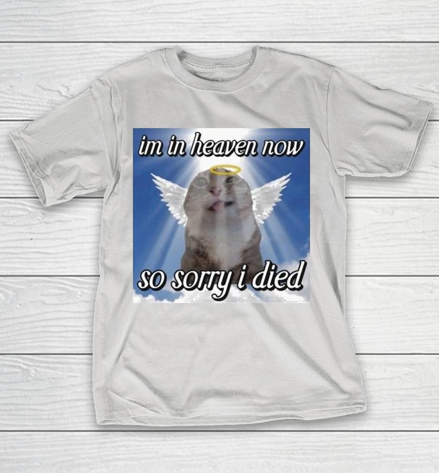 Im In Heaven Now So Sorry I Died Cat Shirts 1 Im In Heaven Now So Sorry I Died Cat Shirts