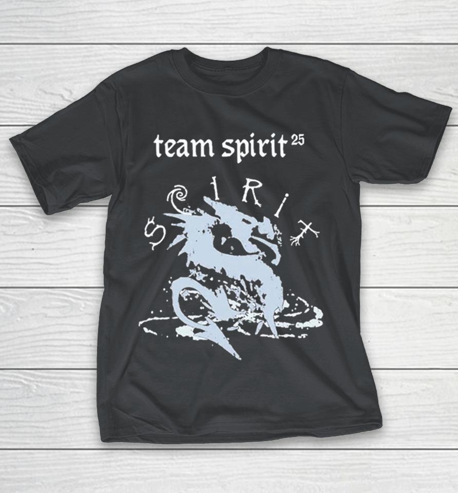 Team Spirit 25-26 Season Shirts 1 Team Spirit 25-26 Season Shirts